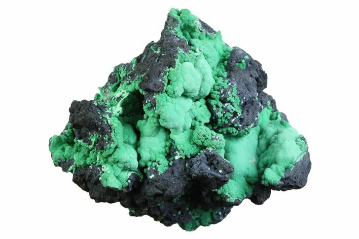 Blue-Green Botryoidal Chrysocolla - Planet Mine, Arizona #358281